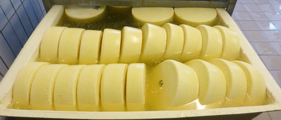 Käseherstellung bei HandKäserei Georg Wimmer