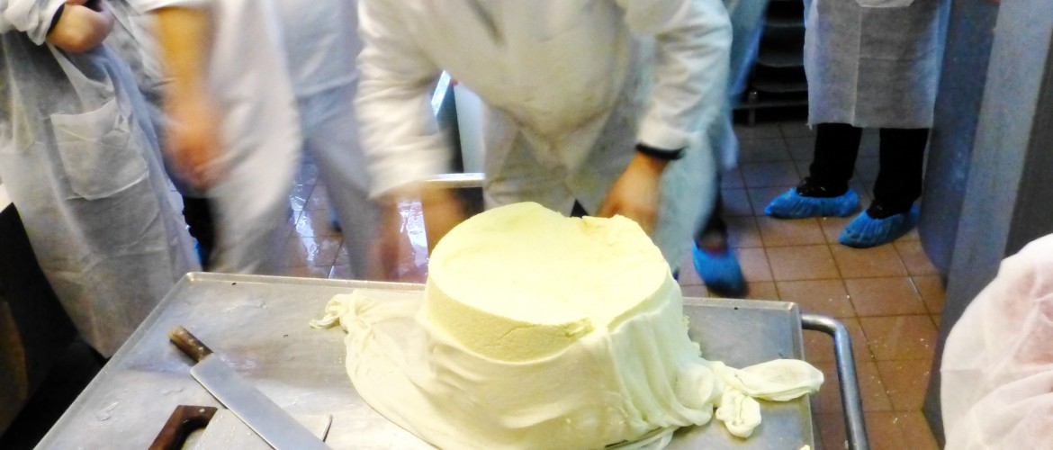 LFi-Käse-Kurse werden bei Georg Wimmer durchgeführt.