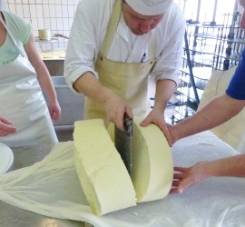 Käseherstellung für Direktvermarktung in der handKäserei Georg Wimmer